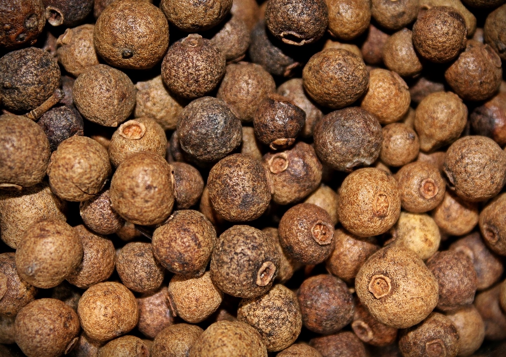 Nelkenpfeffer, Jamaikapfeffer, Piment, Allgewürz, Viergewürz, Pimenta officinalis