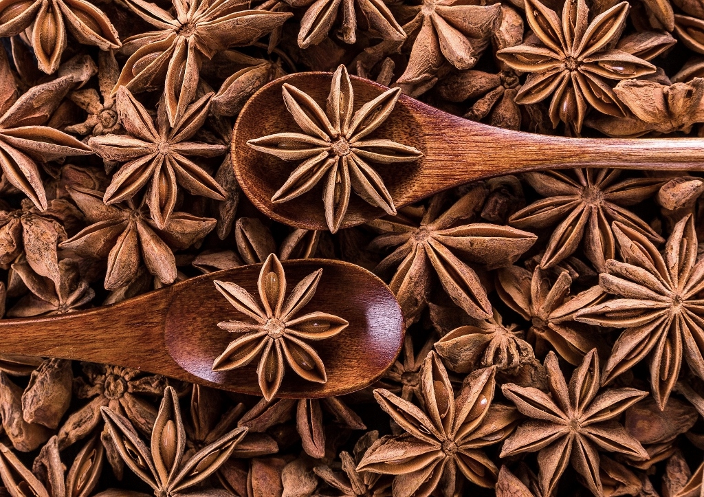 Anis, Sternanis, Illicium verum, Illicium anisatum