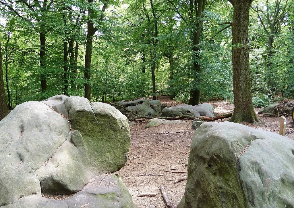 Aachener Wald, Zyklopensteine, Aachens Naturräume