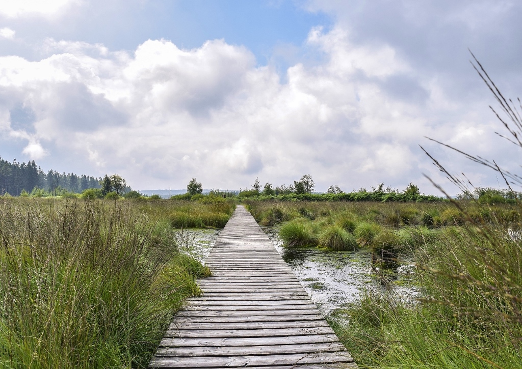 Aachen, Hohes Venn, Aachens Naturräume