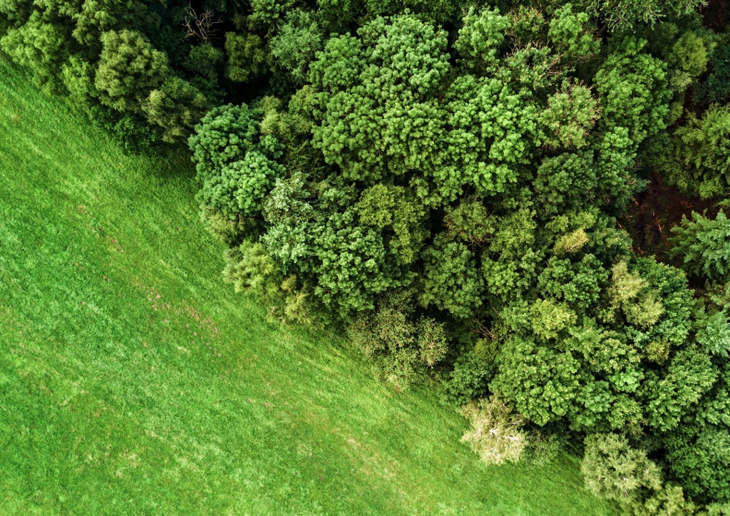 Aachen, Aachens Naturräume, Aachener Wald
