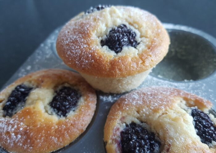 Brombeer-Muffins, Brombeeren, Muffinblech