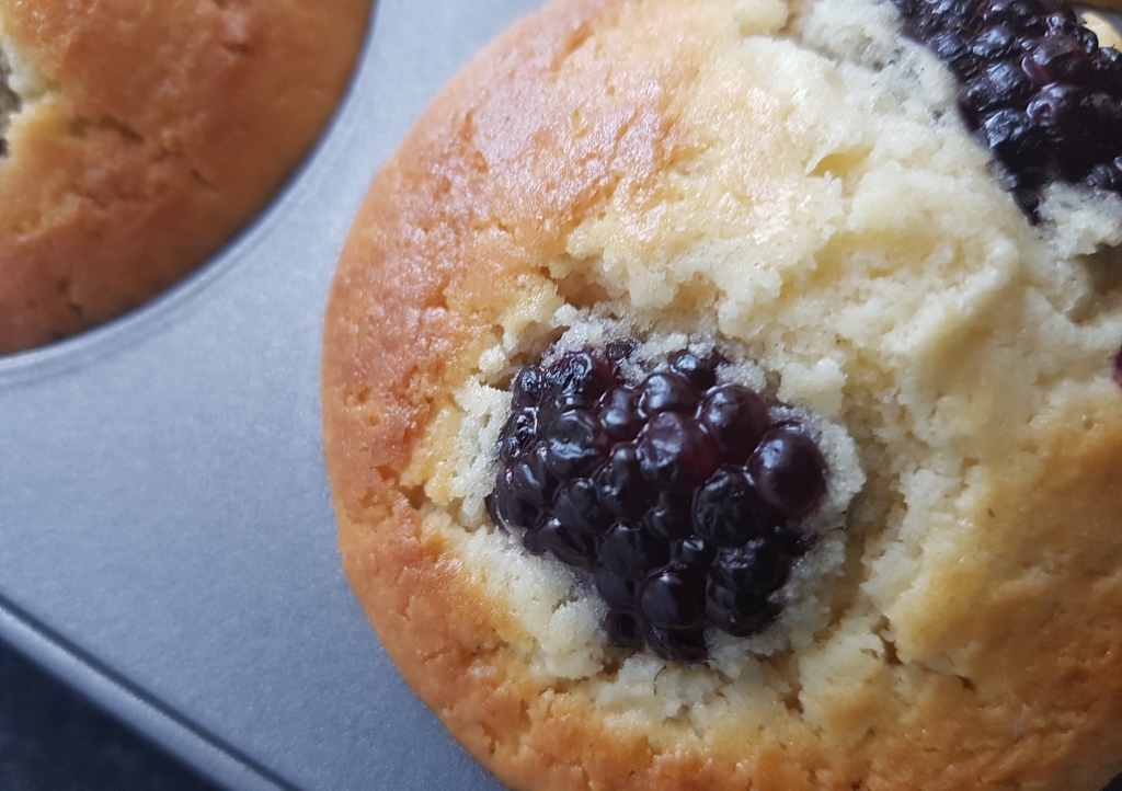 Brombeer-Muffins | Das Grüne Archiv