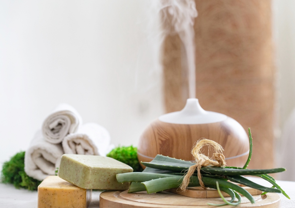 Wellnesskräuter, Aromatherapie, Aloe vera, Naturseife