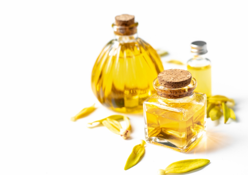 Ylang-Ylang, Cananga odorata, echter Ylang-Ylang, Pafümbaum, Ylang-Ylang-Öl