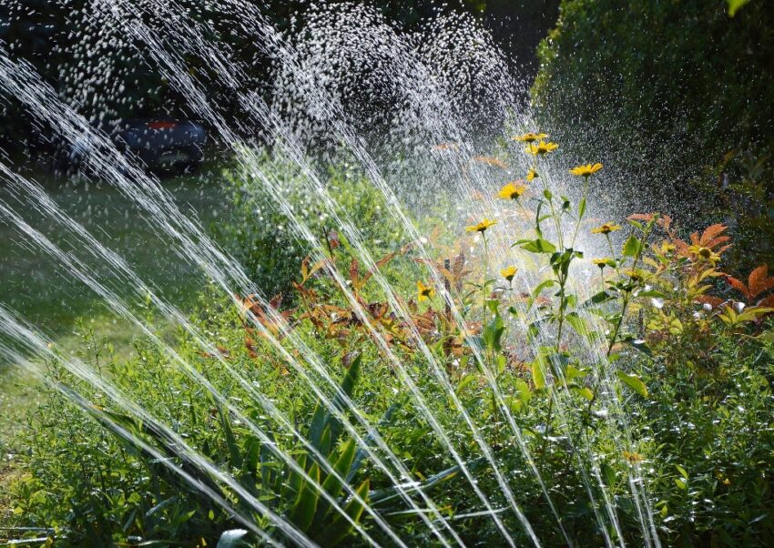 Gartenbewässerung, Bewässerungssysteme, Sprinkler, Sprinkleranlage