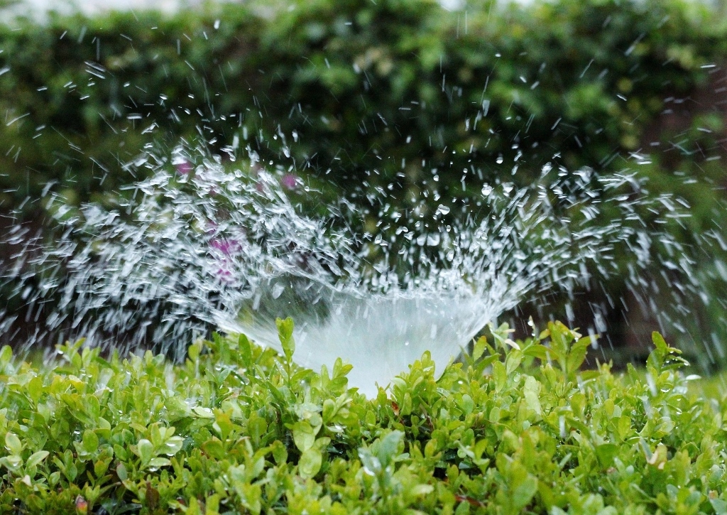 Gartenbewässerung, Bewässerungssysteme, Sprinkler, Sprinkleranlage