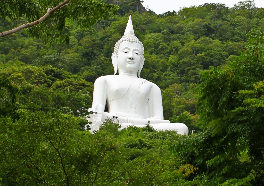Wellness, Meditation, Yoga