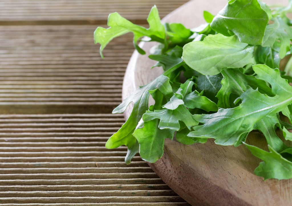 Rucola, Rauke, Senfrauke, Eruca, Eruca vesicaria, Eruca sativa