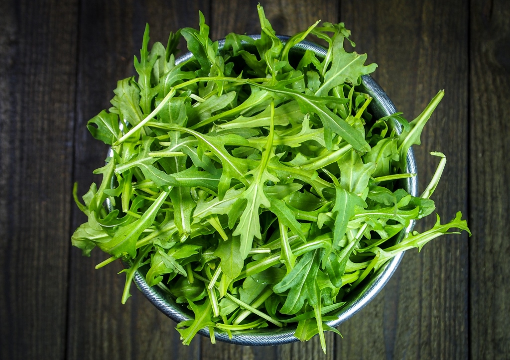 Rucola, Rauke, Senfrauke, Eruca, Eruca vesicaria, Eruca sativa