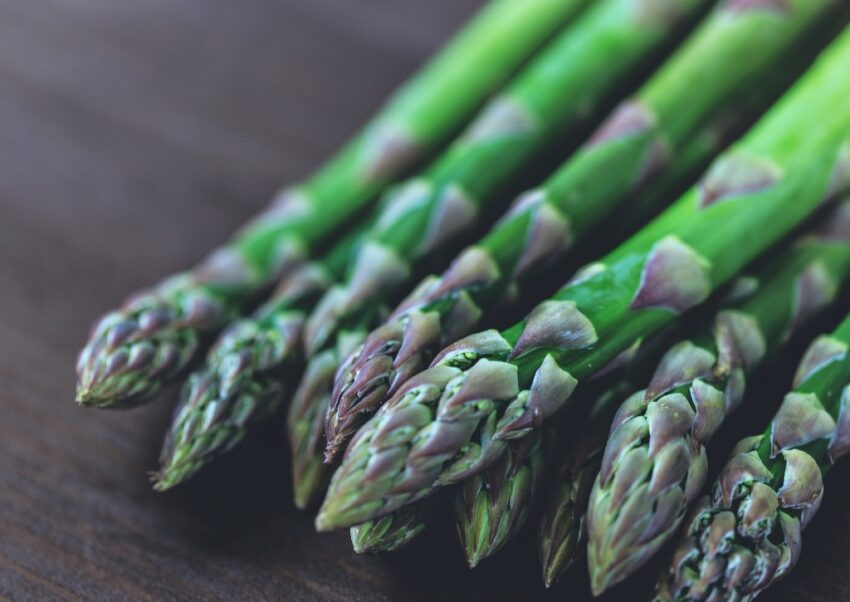 Spargelgewächse, Spargel, grüner Spargel, Grünspargel, Asparagus, Asparagus officinalis