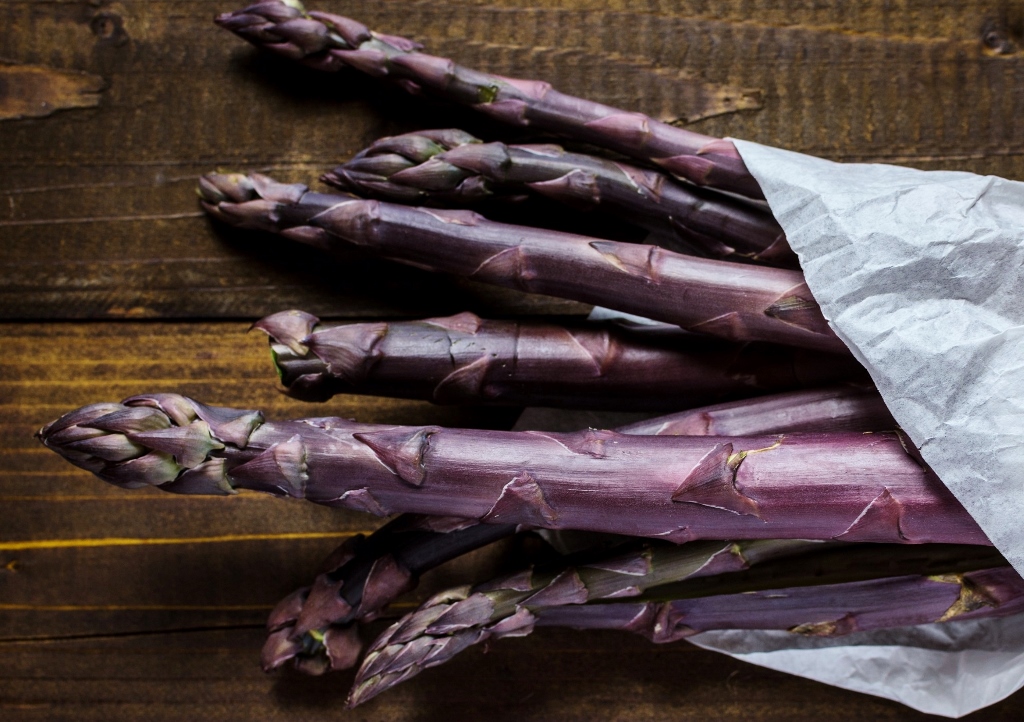 Spargel, Violetter Spargel, Purpurspargel, Asparagus, Asparagus officinalis