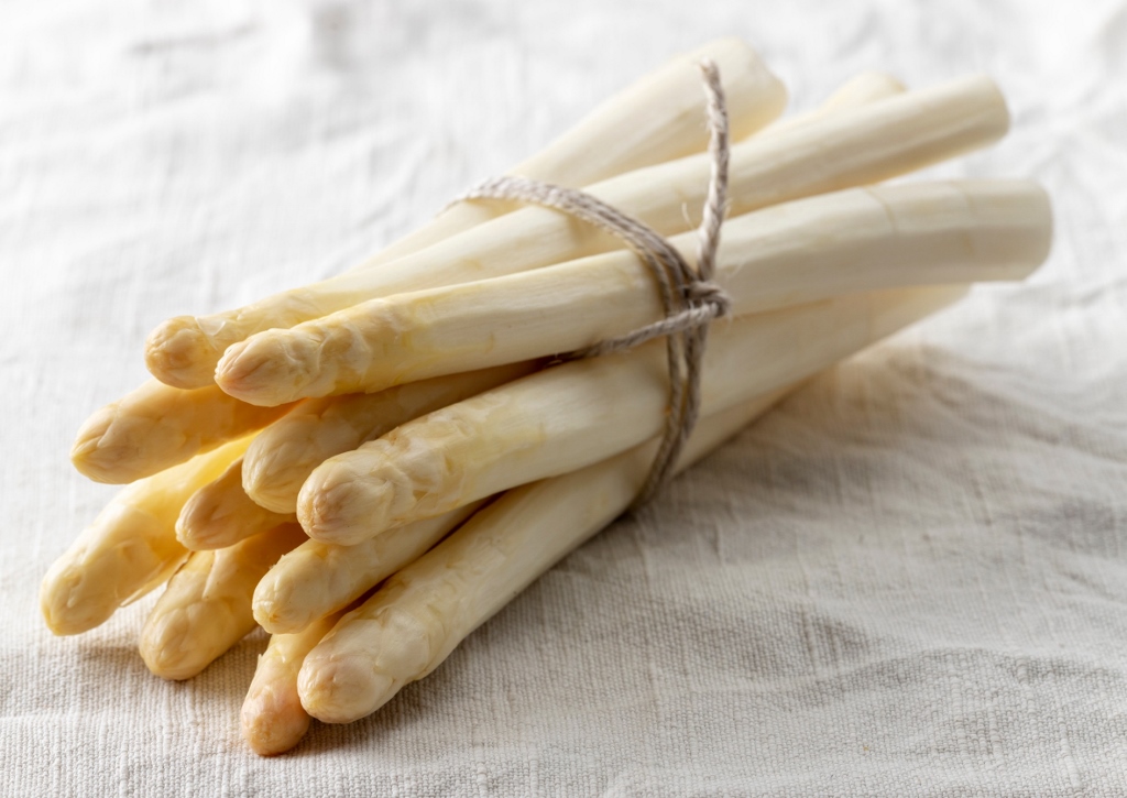 Spargel, Weißer Spargel, Bleichspargel, Asparagus, Asparagus officinalis