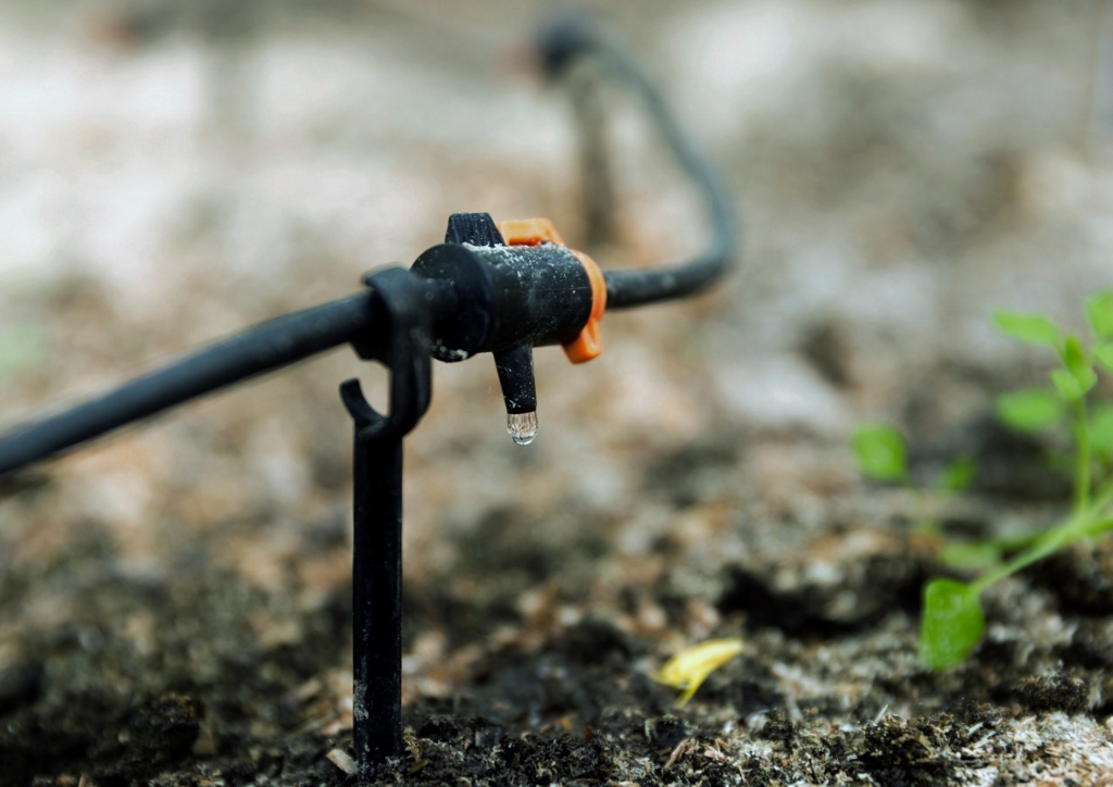 Gartenbewässerung, Bewässerungssysteme, Sprinkler, Sprinkleranlage, Tropfbewässerung