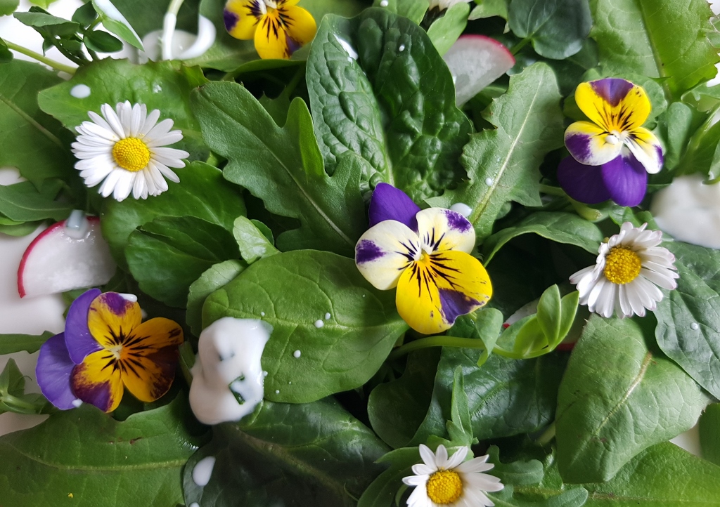 Wildkräutersalat, Veilchen, Gänseblümchen, Brunnenkresse, Spinat, Löwenzahn, Rauke