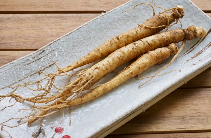 Ginseng, Panax ginseng, Ginsengwurzel