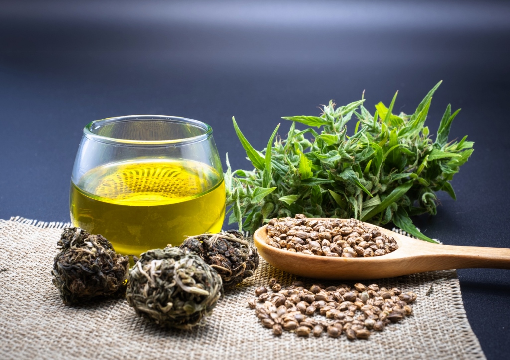 Hanf, Hanfpflanze, Cannabis, Hanf Blüten, Hanfsamen, Hanföl, Hanfprotein