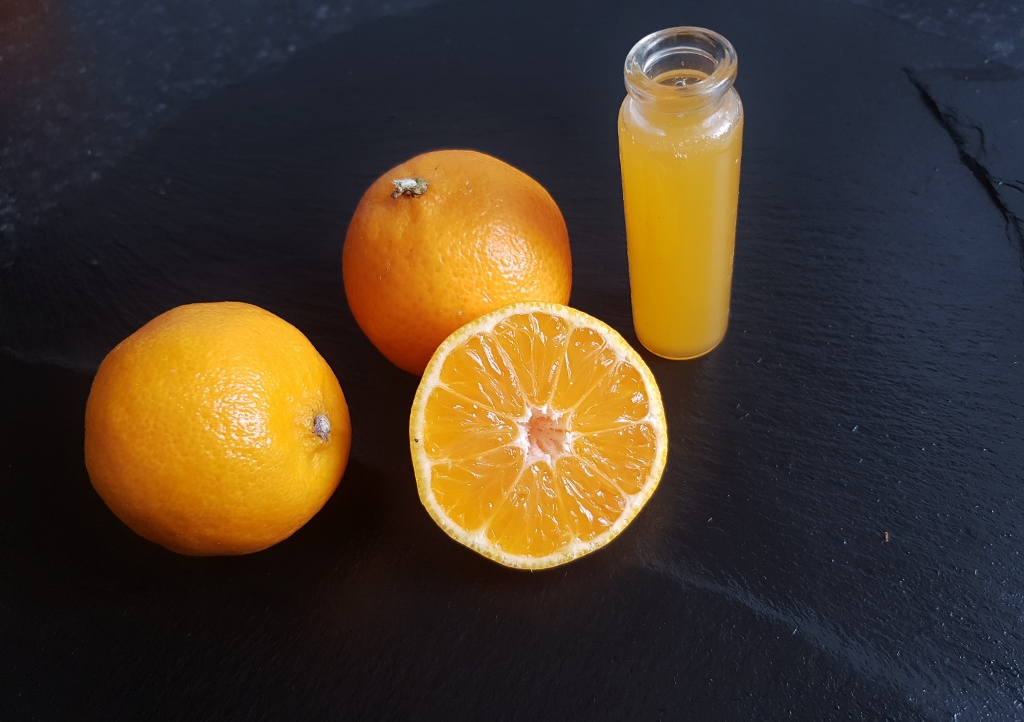 Zitrusfrüchte, Citrus, Mandarine, Clementine