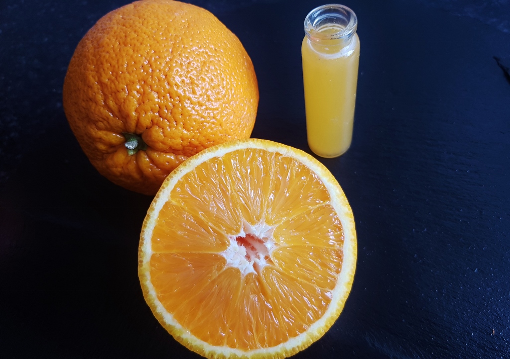 Zitrusfrüchte, Citrus, Orange