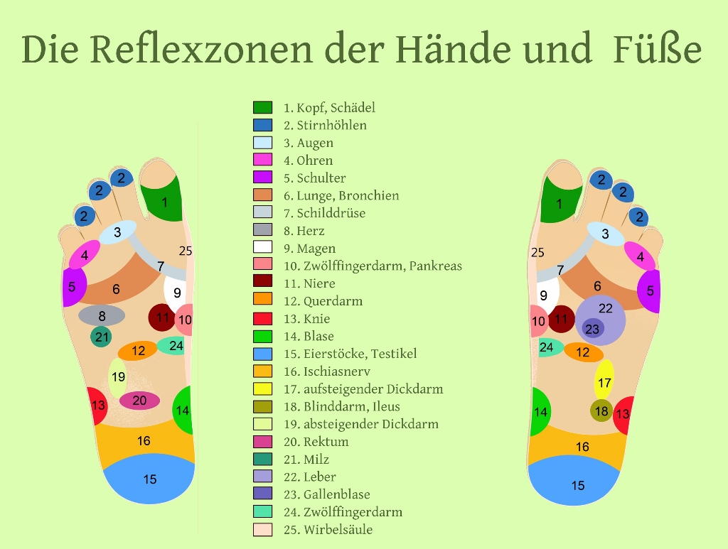 Reflexzonenmassage, Reflexzonen, Füße