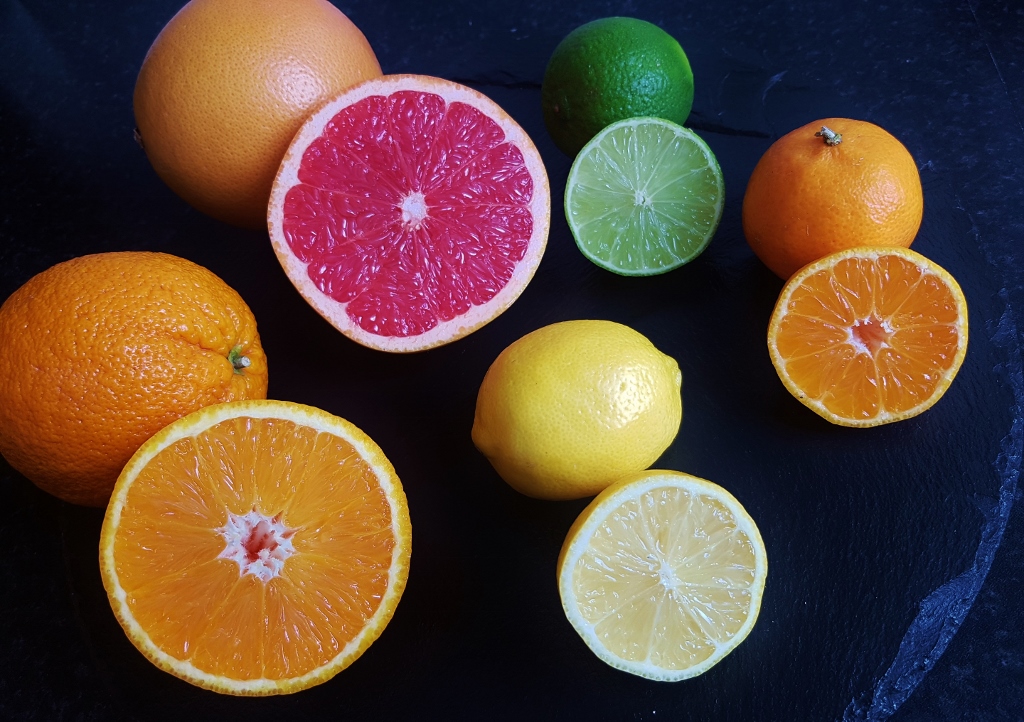 Zitrusfrüchte, Zitruspflanzen, Zitrone, Orange, Limette, Mandarine, Grapefruit
