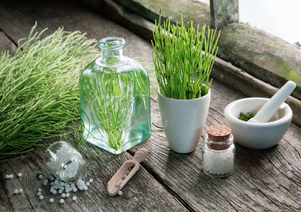 Ackerschachtelhalm, Schachtelhalm, Equisetum, Equisetum arvense, Zinnkraut, Heilwirkung, Pflanzenschutzmittel