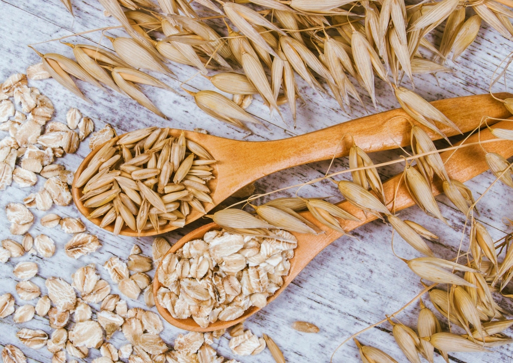 Hafer, Haferflocken, Avena sativa