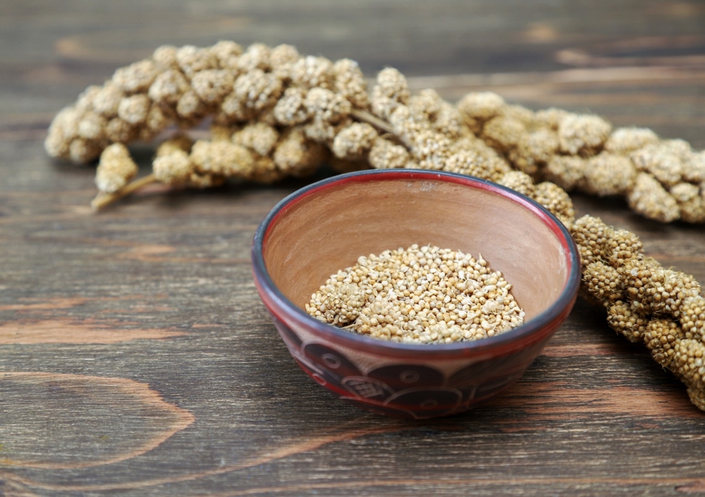 Hirse, Hirsi, Sorghumhirse, Perlkirse, Kolbenhirse, Teff