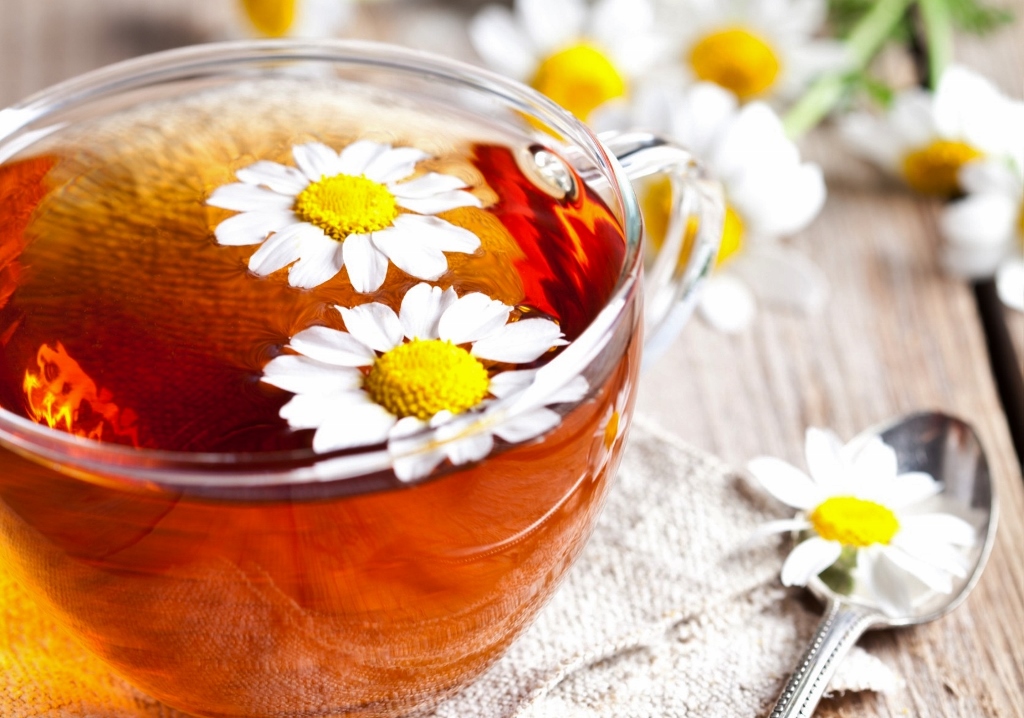 Mutterkraut, Tanacetum parthenium, Mutterkraut-Tee