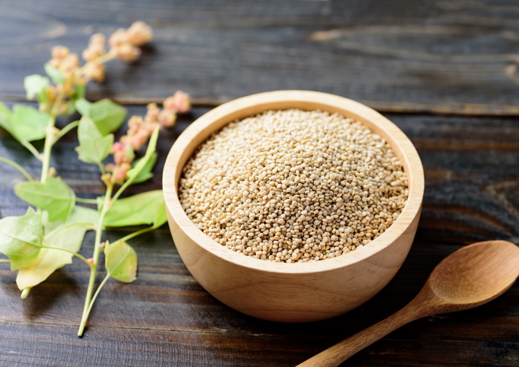 Quinoa, Reismelde, Chenopodium quinoa