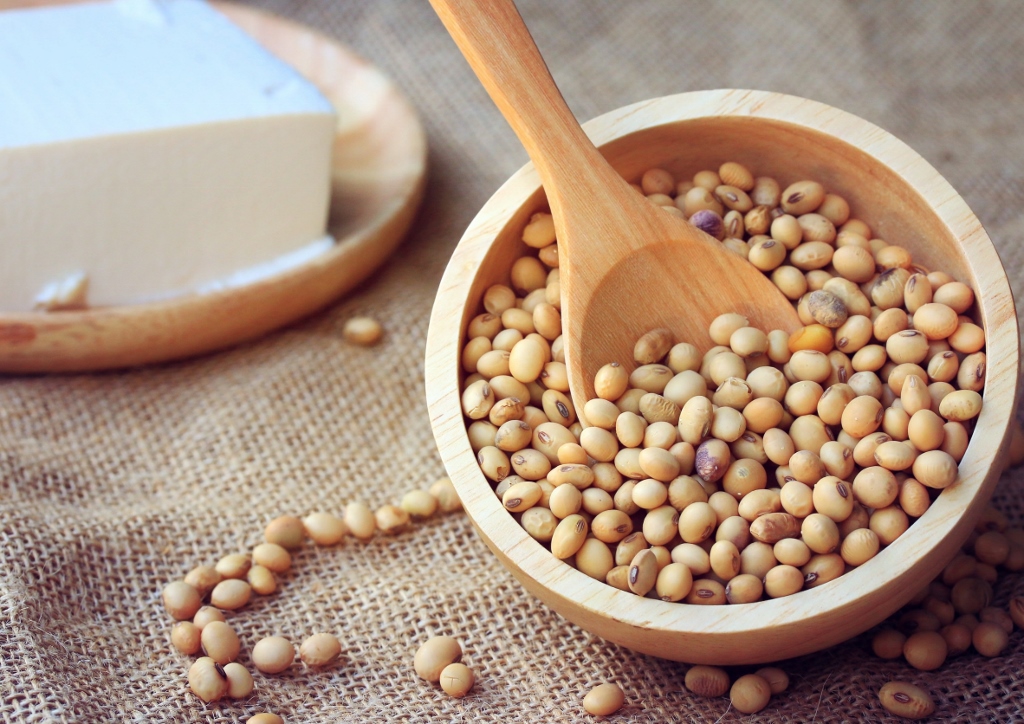 Soja, Sojabohne, Sojaprodukte, Tofu, Glycine max