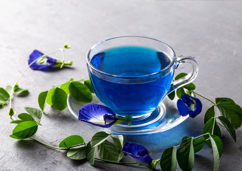Schmetterlingserbse, Clitoria ternatea, Blaue Klitorie, Schmetterlingserbsenblüten-Tee, Anchan Tee, Blauer Tee