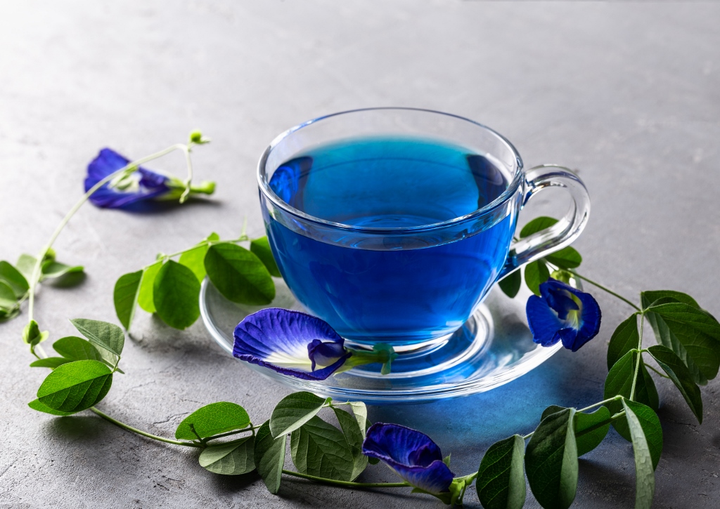 Schmetterlingserbse, Clitoria ternatea, Blaue Klitorie, Schmetterlingserbsenblüten-Tee, Anchan Tee, Blauer Tee, Novel Food