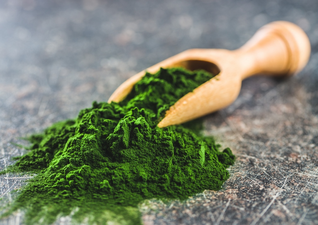 Chlorella, Chlorella vulgaris, Chlorellapulver, Superfood, Nahrungsergänzungsmittel