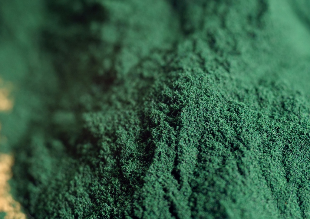 Spirulina, Spirulina platensis, Arthrospira platensis, Spirulina-Pulver