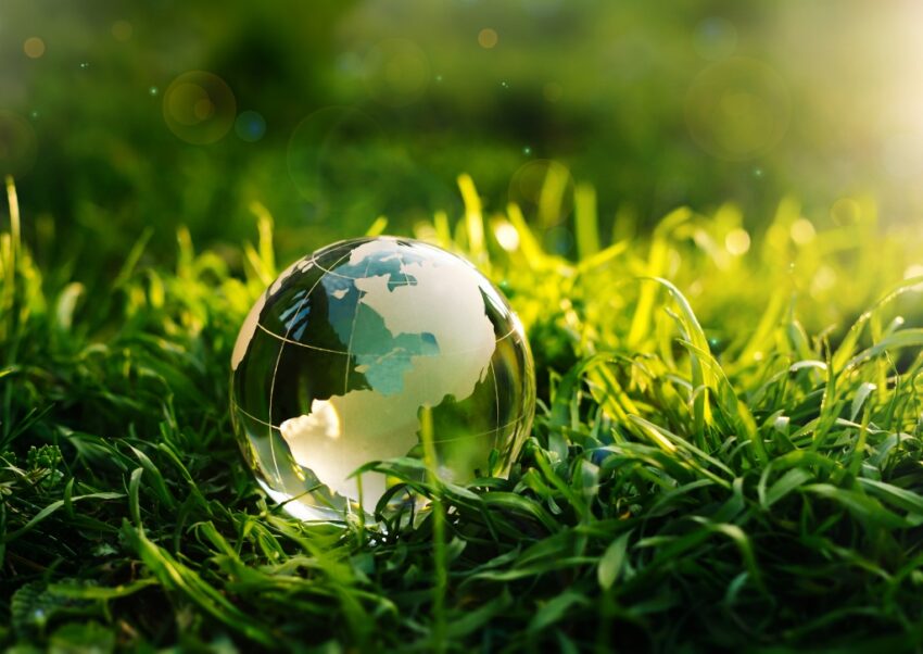 Greenwashing, Crystal Globe, Grass, Gras, Globus