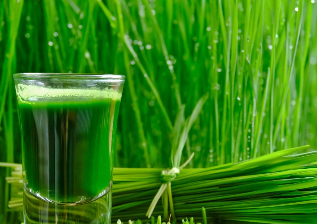 Gerstengras, Gerstengrassaft, Superfood