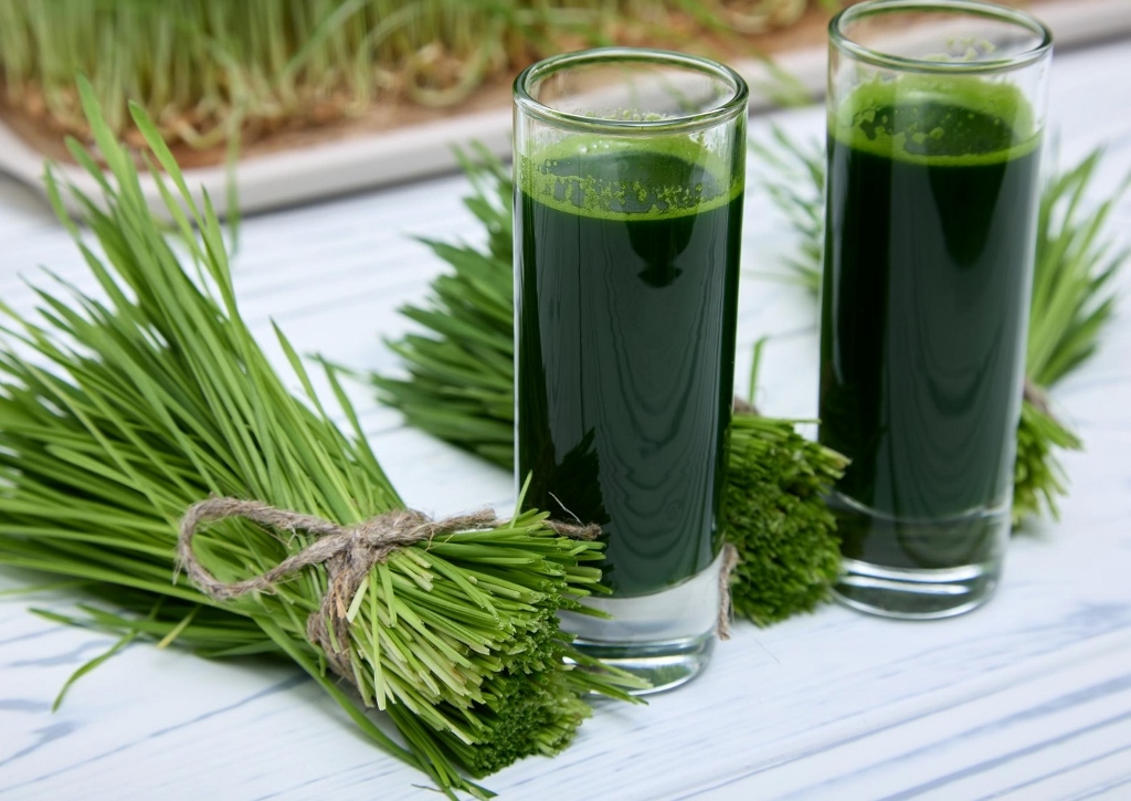 Gerstengrassaft, Gerstengras, Superfood