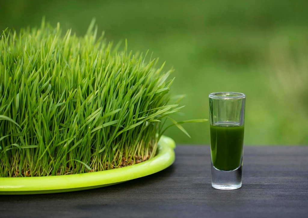 Gerstengrassaft, Gerstengras, Superfood