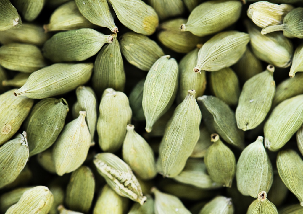 Ingwergewächse, Kardamom, Grüner Kardamom, Elettaria cardamomum