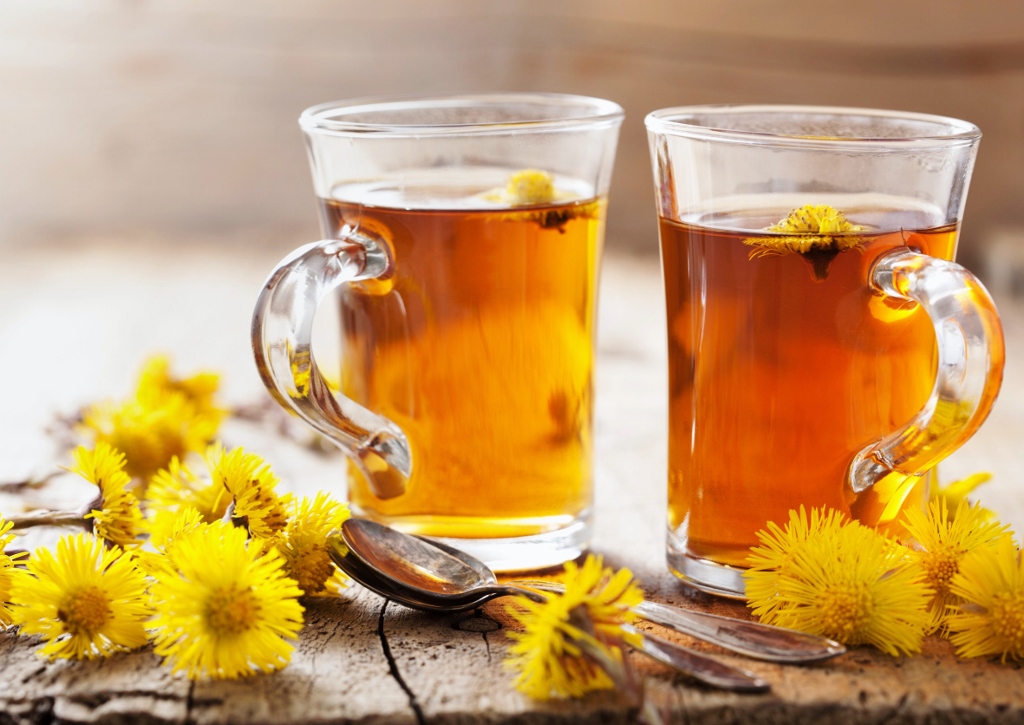 Huflattich, Tussilago farfara, Huflattich-Tee