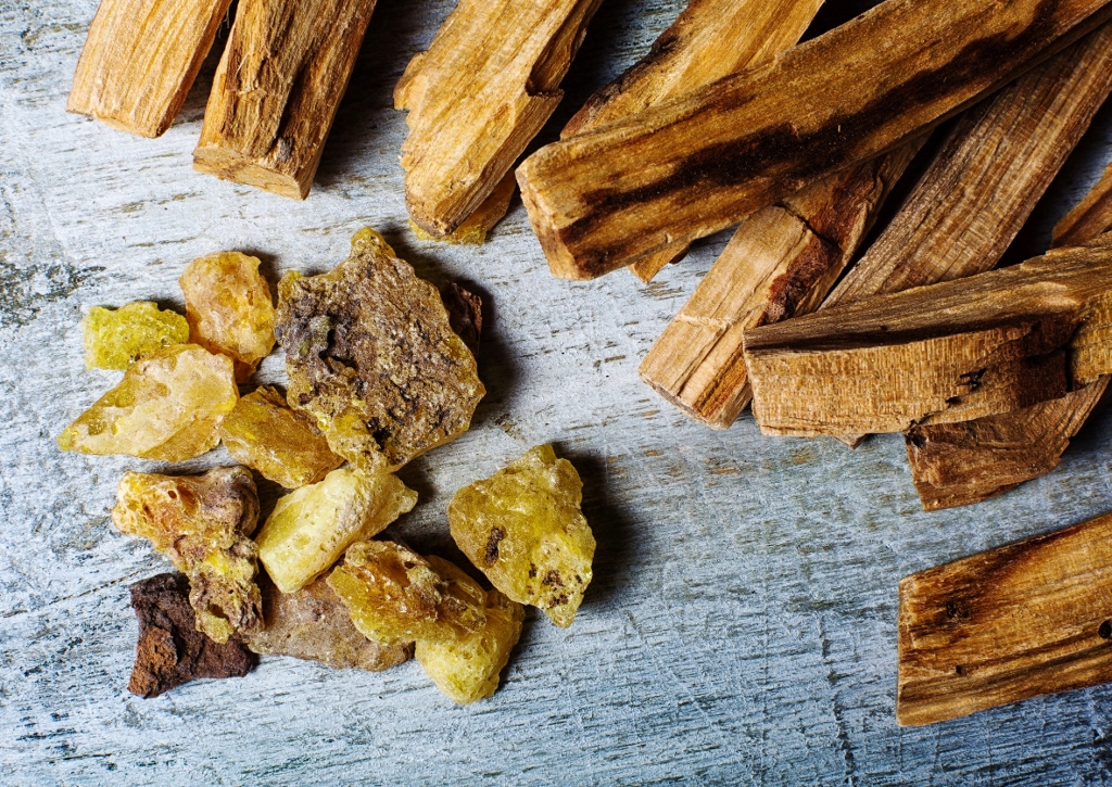 Palo Santo Wirkung, Anwendung und Geschichte Das Grüne Archiv