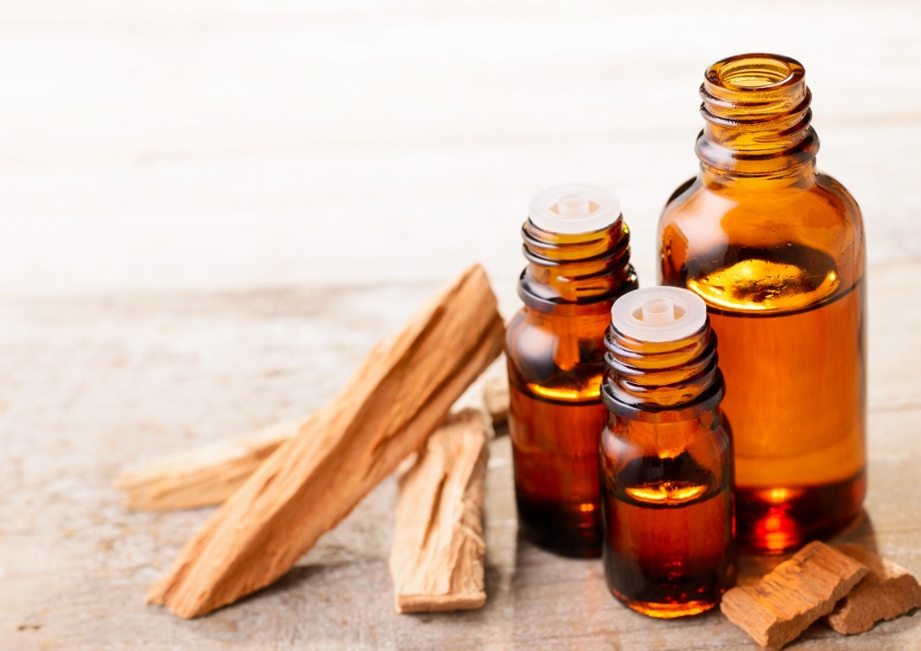 Sandelholz, Santalum, Weißes Sandelholz, Santalum album