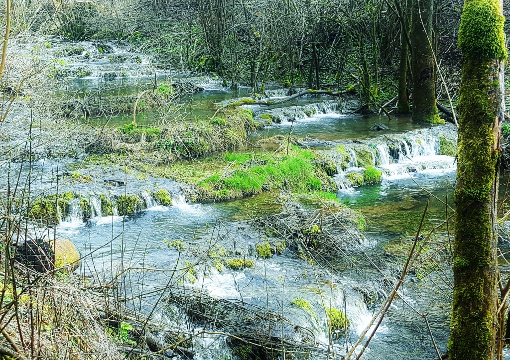 Sinterterrassen, Lillachtal, Weißenohe, Lilling, Gräfenberg, Fränkische Schweiz, Bayern