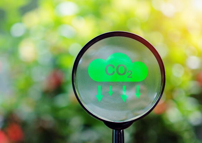 Green Search, Search Lense CO2