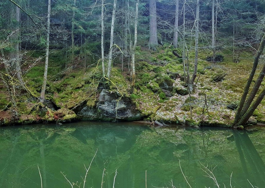 Schwarzachklamm, Schwarzenbruck, Schwarzach, Bayern