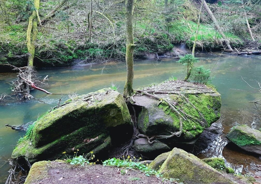 Schwarzachklamm, Schwarzenbruck, Schwarzach, Bayern