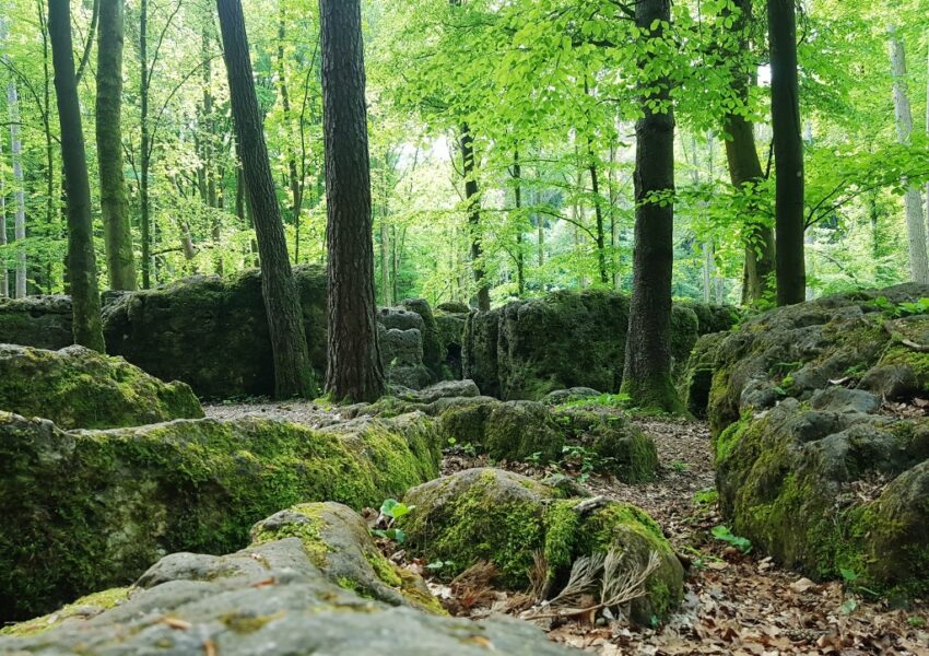 Druidenhain, Wohlmannsgesees, Fränkische Schweiz, Fränkischer Jura