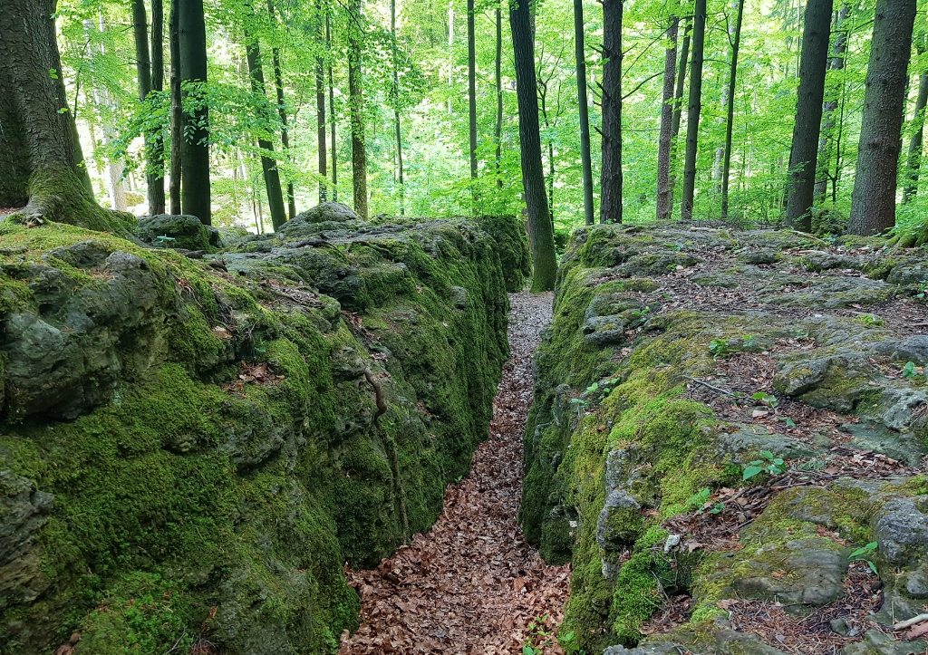 Druidenhain, Wohlmannsgesees, Fränkische Schweiz, Fränkischer Jura