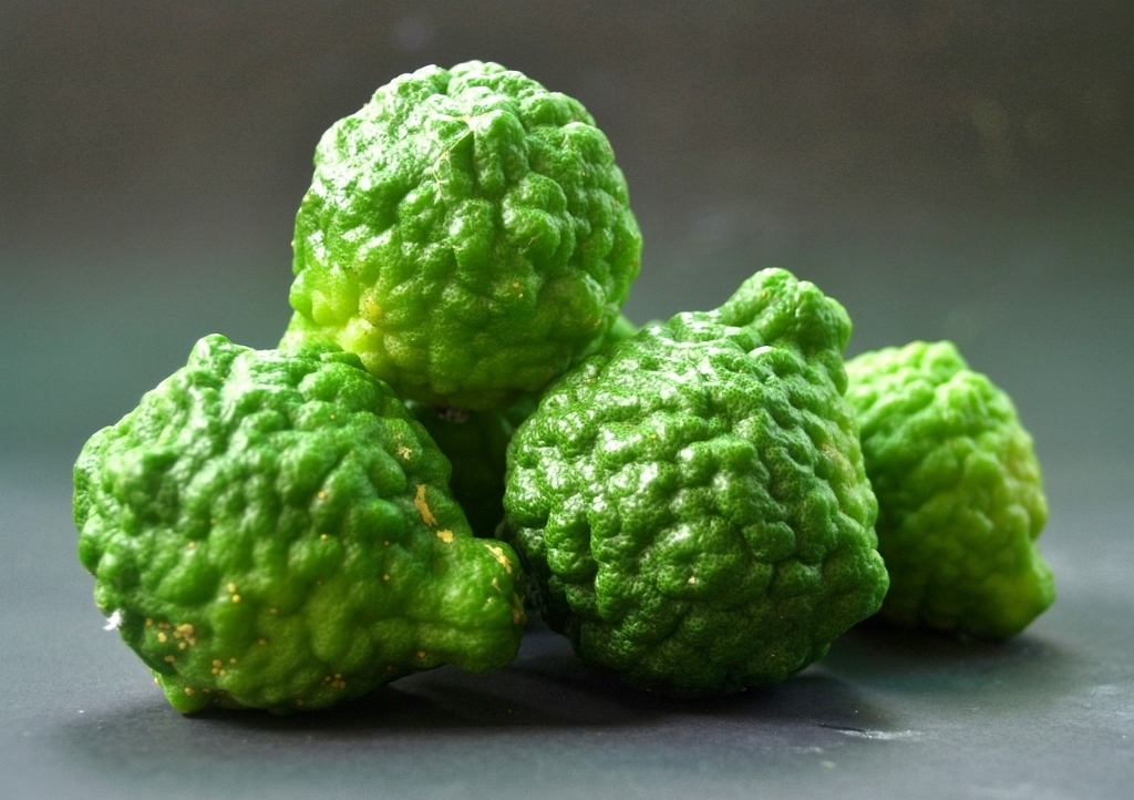 Bergamotte, Citrus bergamia